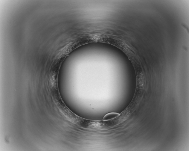 X0000102510611200808151548