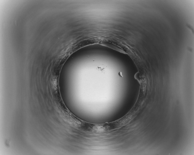 X0000102510613200808151548