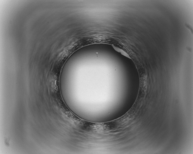 X0000102510615200808151548