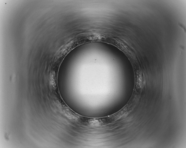 X0000102510616200808151548