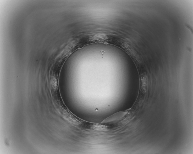 X0000102510617200808151548