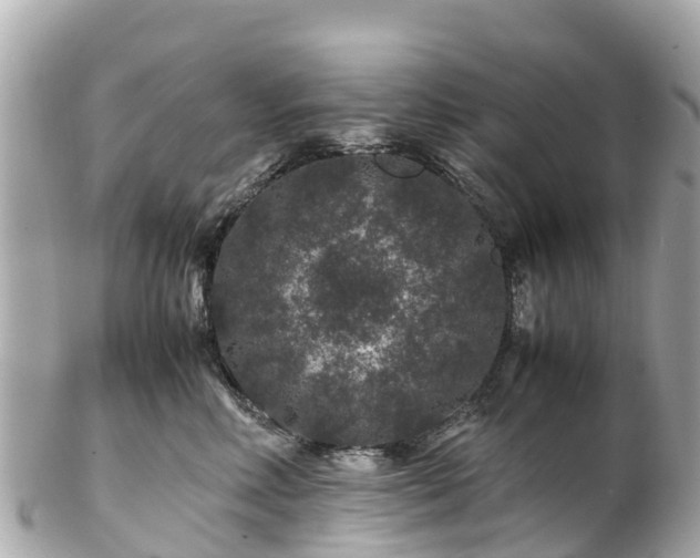 X0000102510618200808151548