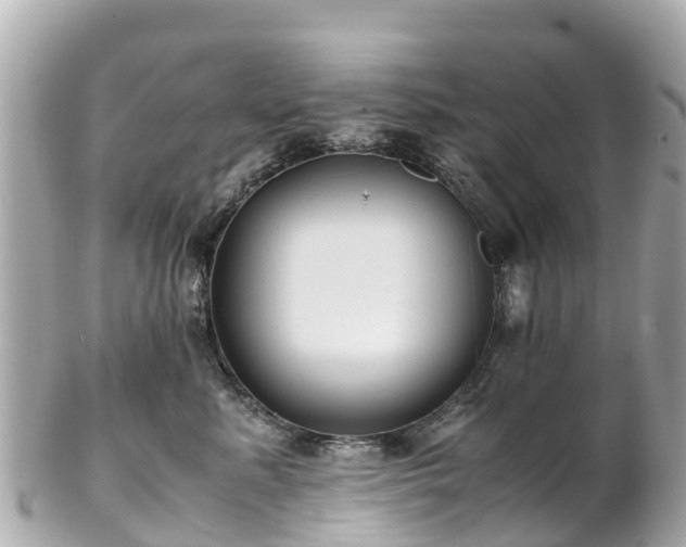 X0000102510619200808151548