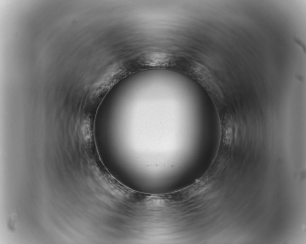 X0000102510620200808151548