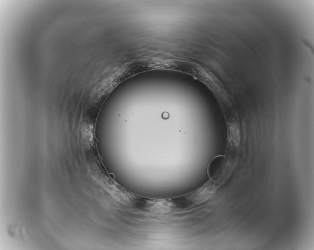 X0000102510621200808151548