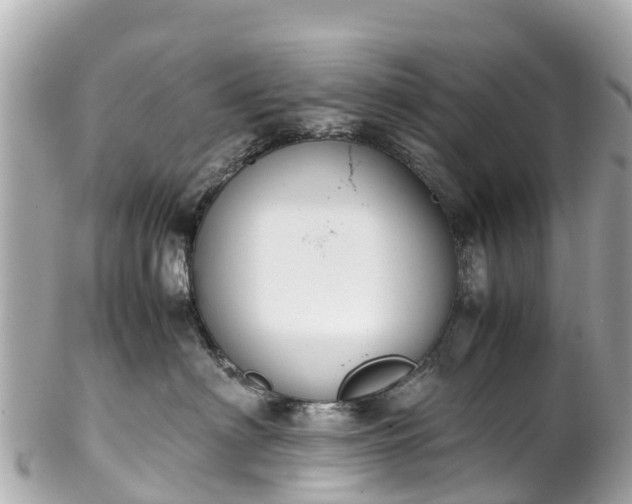 X0000102510622200808151548