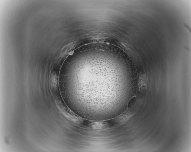 X0000102510623200808151548