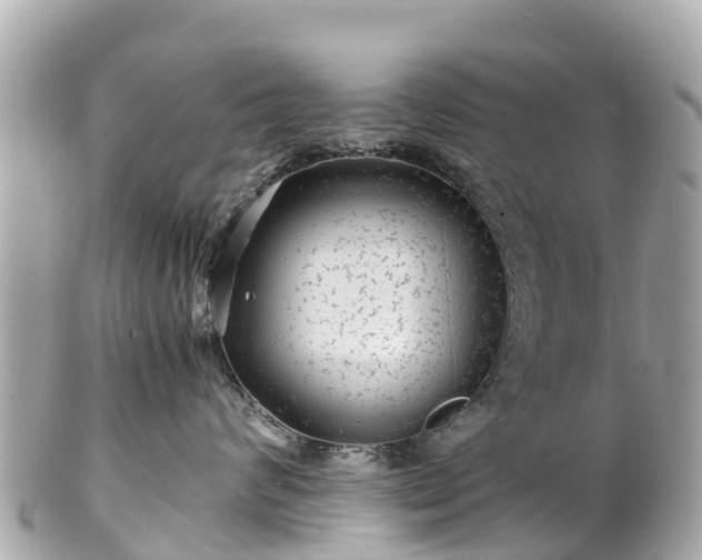 X0000102510624200808151548
