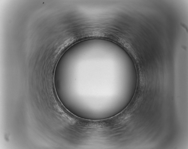 X0000102510625200808151547