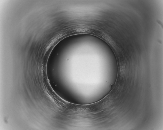 X0000102510626200808151547