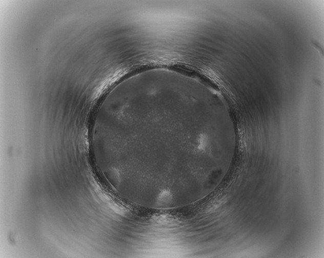 X0000102510634200808151547