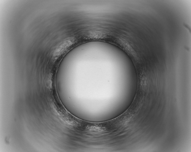 X0000102510635200808151547