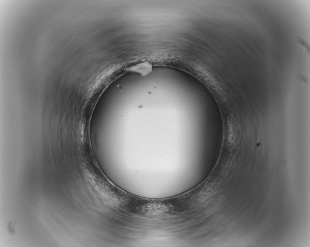X0000102510636200808151547