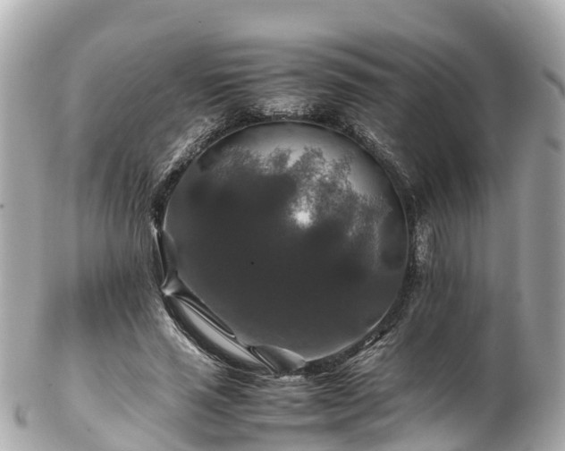 X0000102510637200808151547