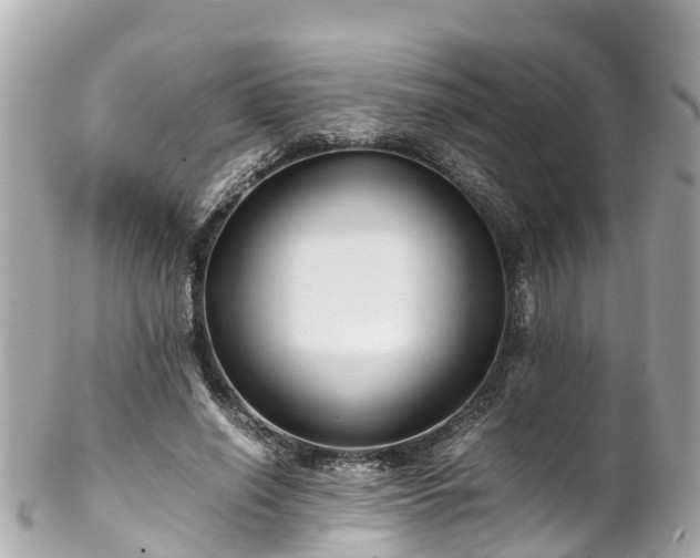 X0000102510638200808151547