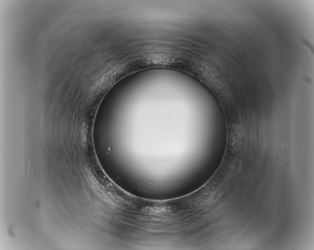 X0000102510639200808151547