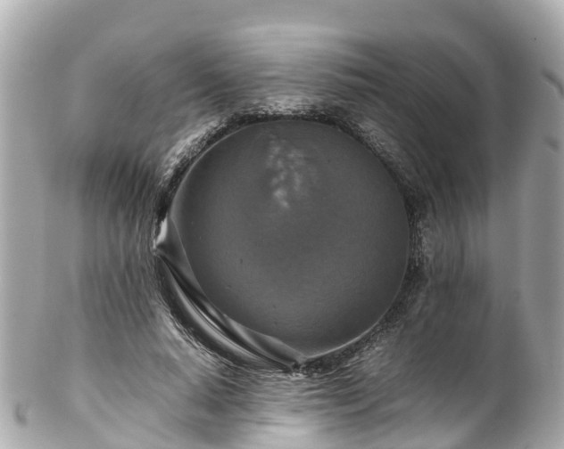 X0000102510640200808151547