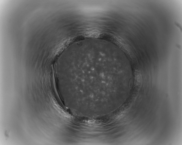 X0000102510641200808151547