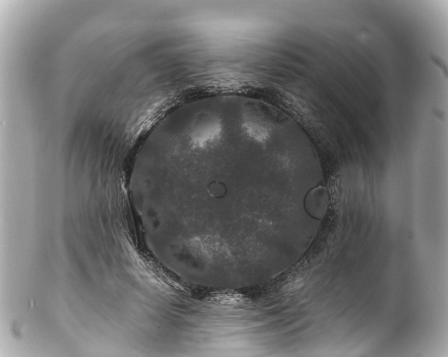 X0000102510642200808151547