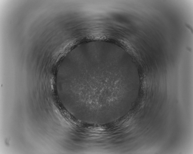 X0000102510643200808151547