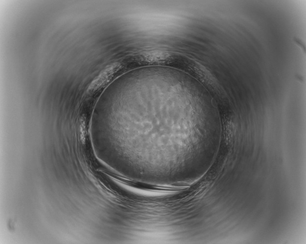 X0000102510644200808151547