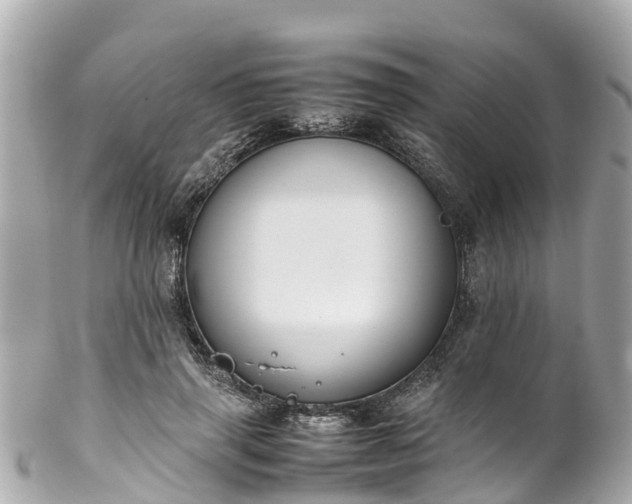 X0000102510645200808151547