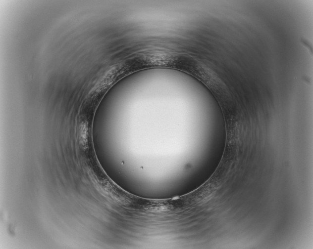 X0000102510646200808151547