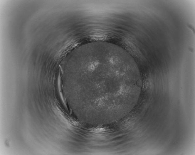 X0000102510647200808151547