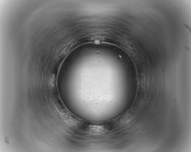 X0000102510649200808151548