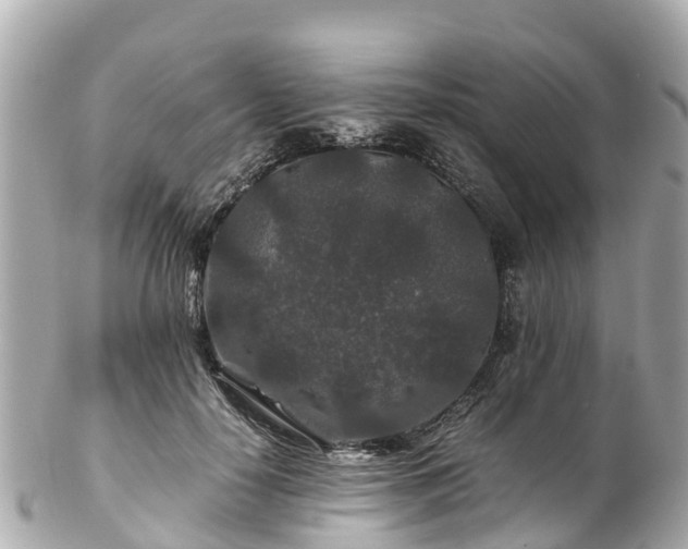 X0000102510650200808151548
