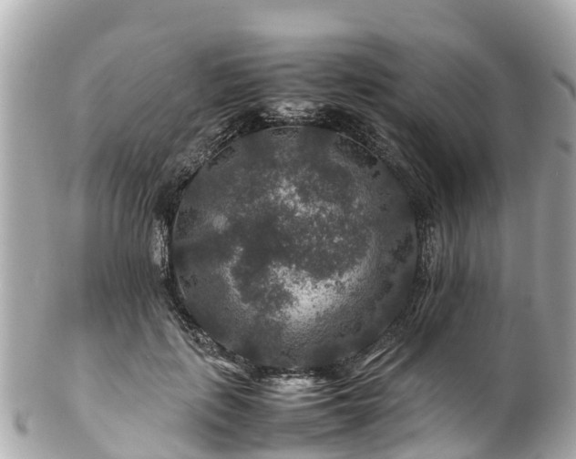 X0000102510651200808151548