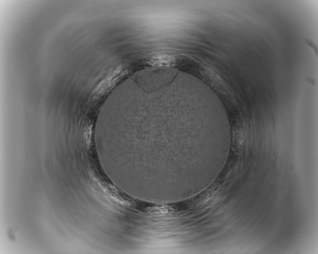 X0000102510652200808151548