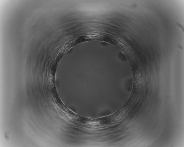 X0000102510653200808151548