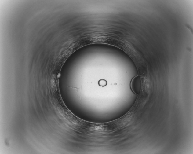 X0000102510655200808151548