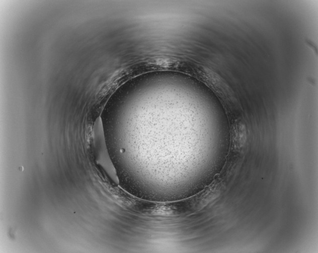 X0000102510656200808151548