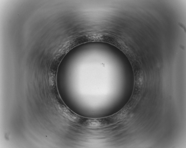 X0000102510658200808151548