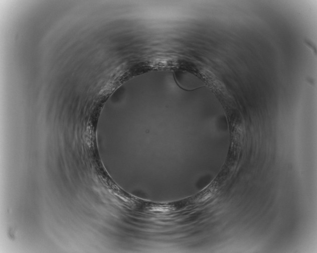 X0000102510659200808151548