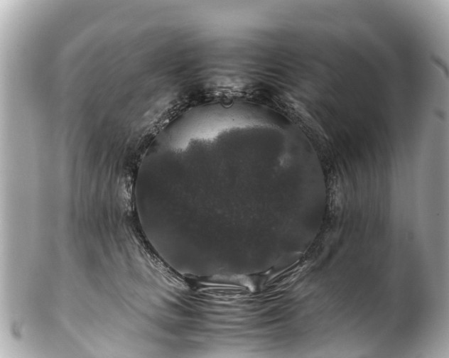 X0000102510661200808151548