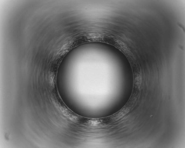 X0000102510662200808151548