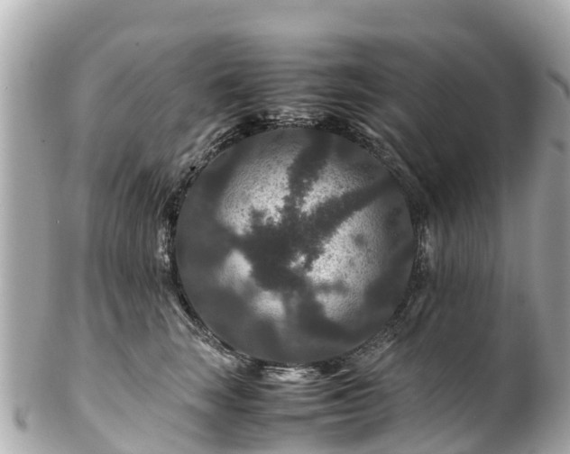 X0000102510663200808151548