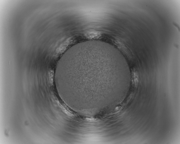 X0000102510664200808151548