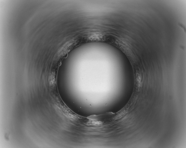 X0000102510665200808151548