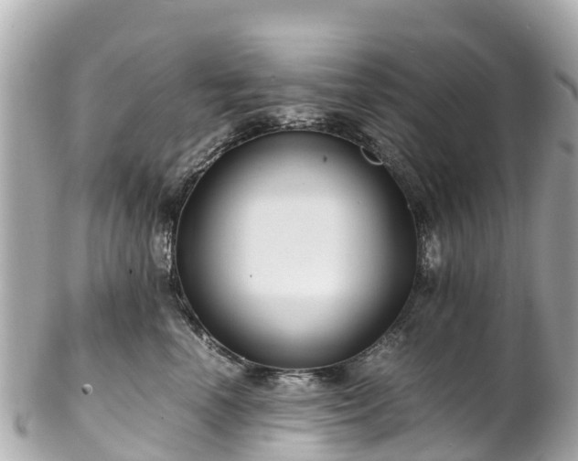 X0000102510666200808151548