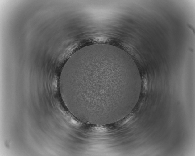 X0000102510668200808151548