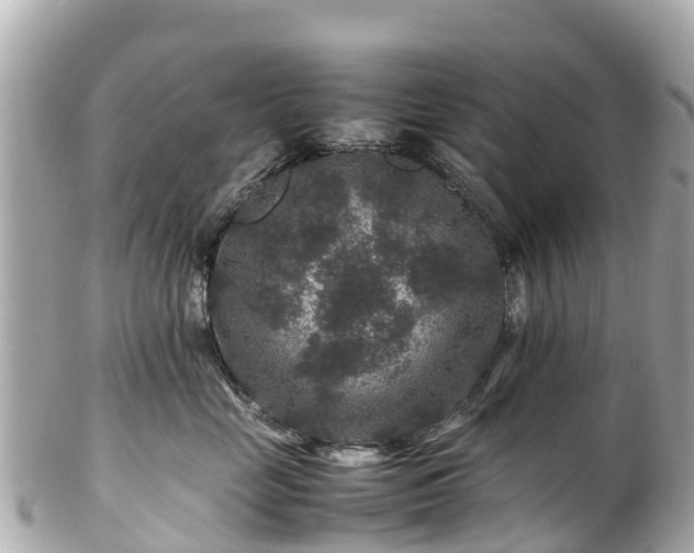 X0000102510669200808151548