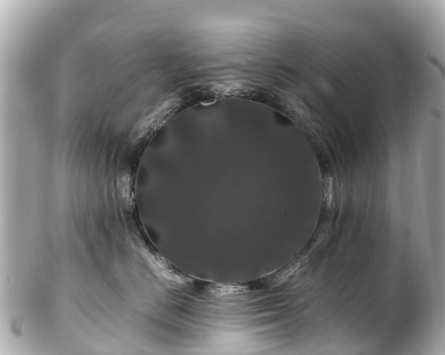 X0000102510670200808151548