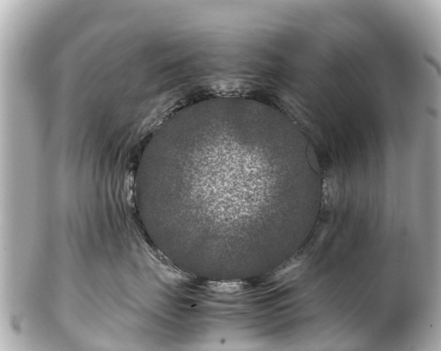 X0000102510671200808151548