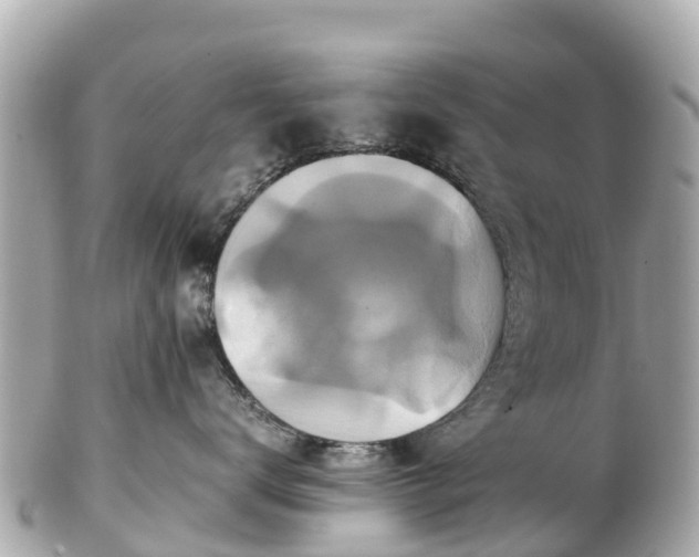 X0000102510672200808151548