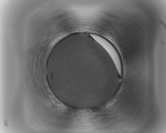 X0000102510673200808151547