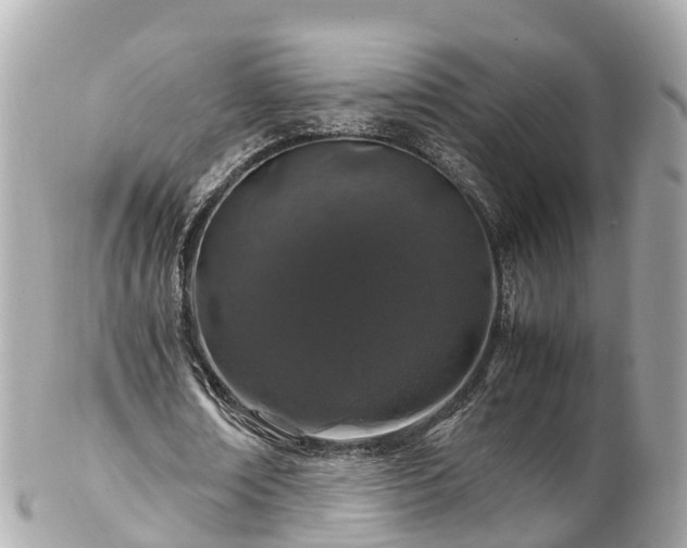 X0000102510674200808151547